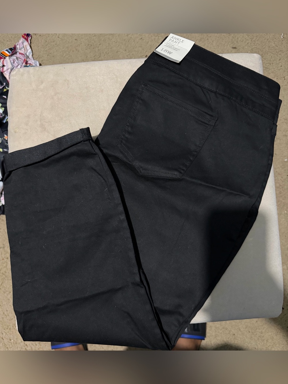 Style&Co Black Ankle Pant-18w